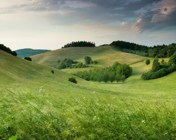 services-01 Services 01 1